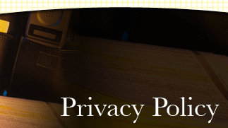 The Schweiger-Larkey Group :: privacy policy